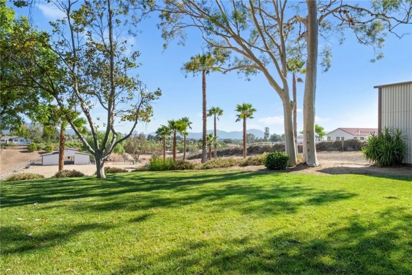 33747 Madera De Playa photo 47