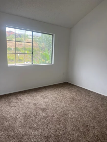 8812 Spring Canyon Drive photo 3