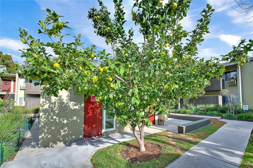 4822 Hollow Corner #177 photo 18