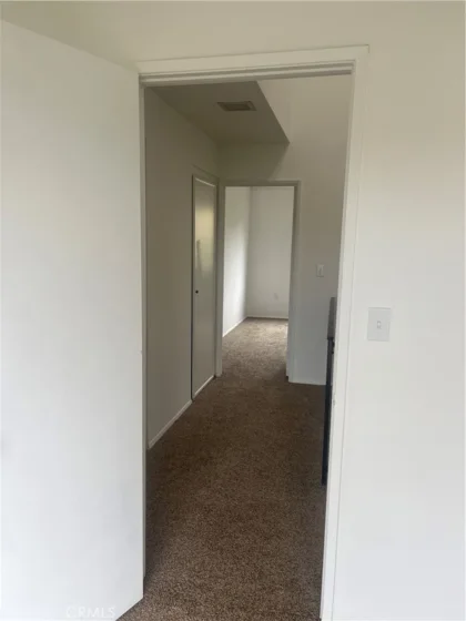8812 Spring Canyon Drive photo 6