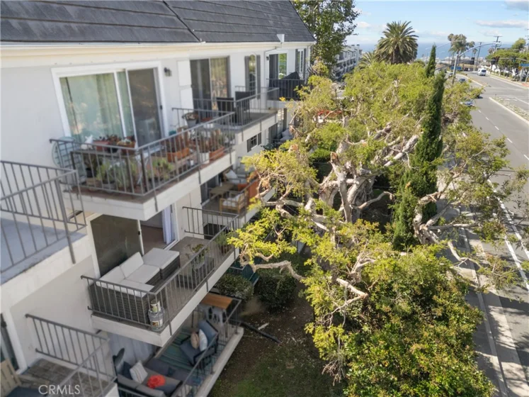 500 Cagney Lane #205 photo 22