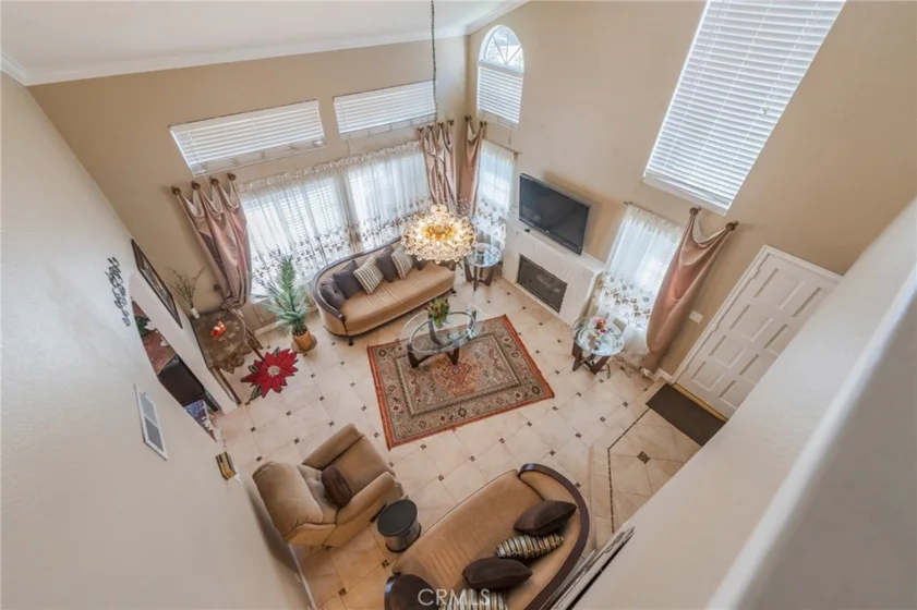 38 Carnation photo 25