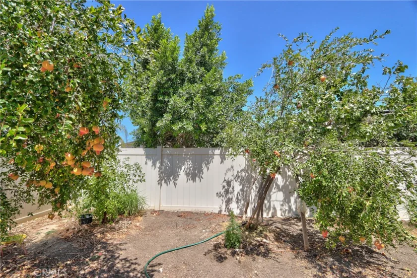 45743 Magnolia photo 42
