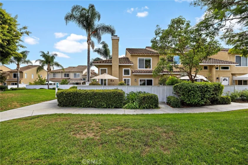 26907 Begonia photo 36