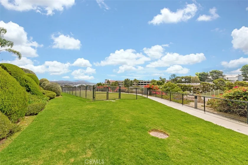 33611 Dana Vista Drive #31 photo 29