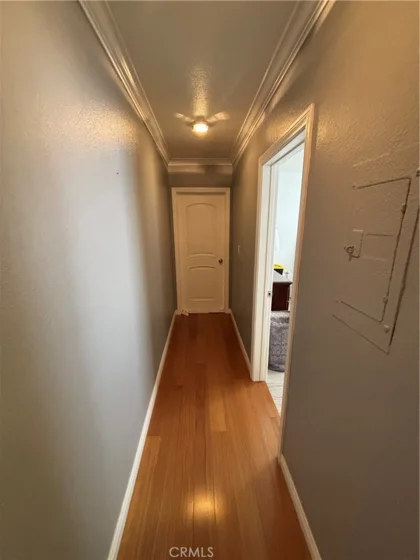 5625 Windsor photo 6