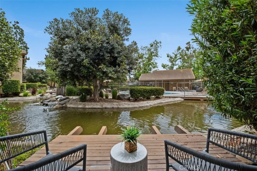 324 Tangelo photo 11