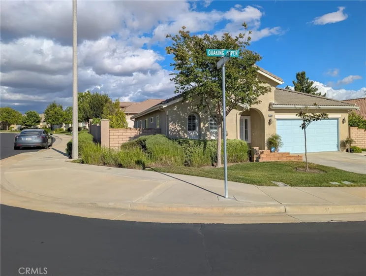 29348 Quaking Aspen photo 1