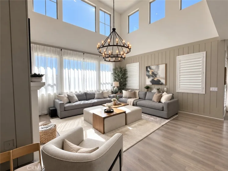 32229 Olea photo 13