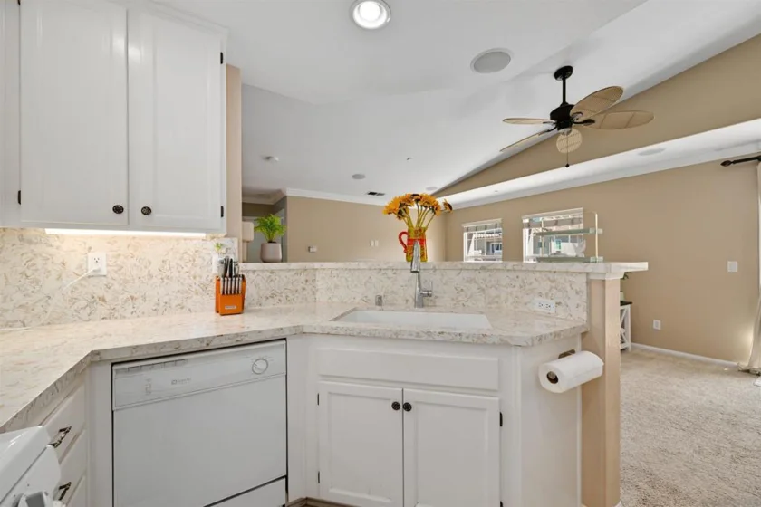 254 Aurora photo 6