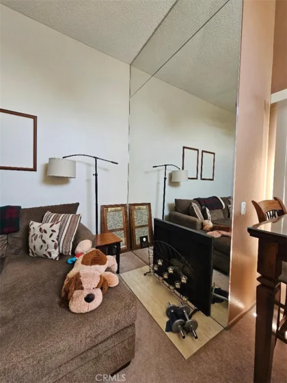 550 Orange Avenue #320 photo 8