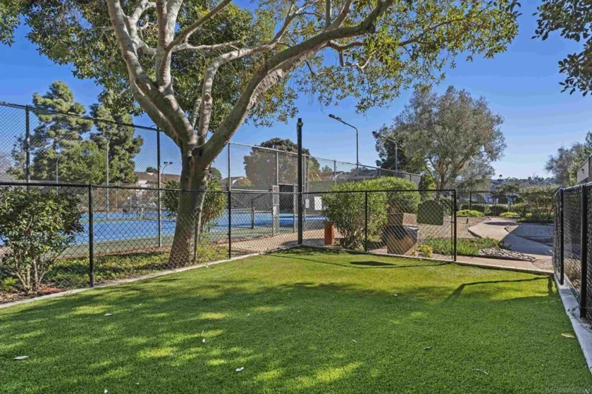 6406 Friars #338 photo 22