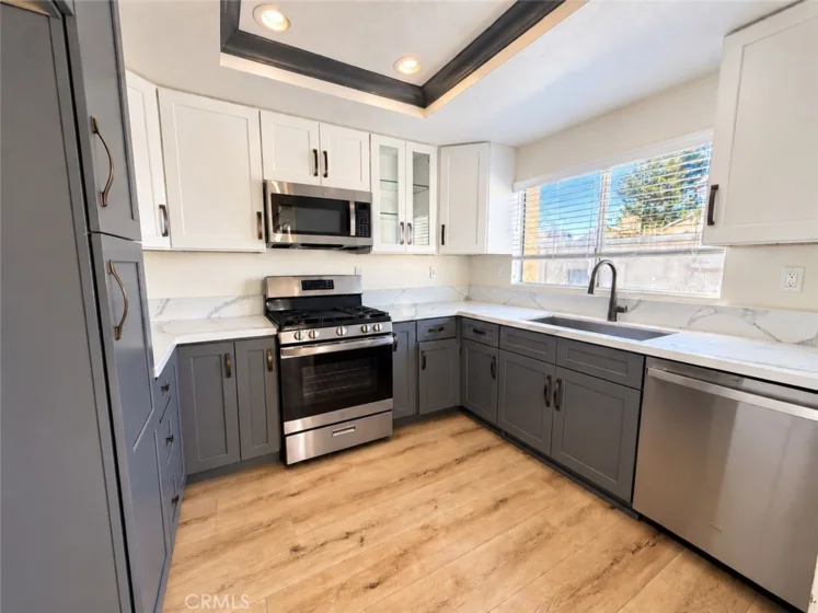 21156 Gladiolos photo 2