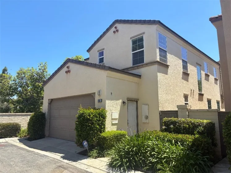 65 Figtree photo 2