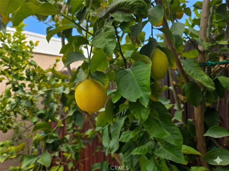 14344 Foothill #501 photo 11
