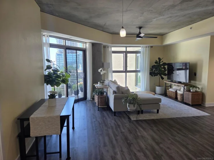 801 Ash Street #203 photo 3