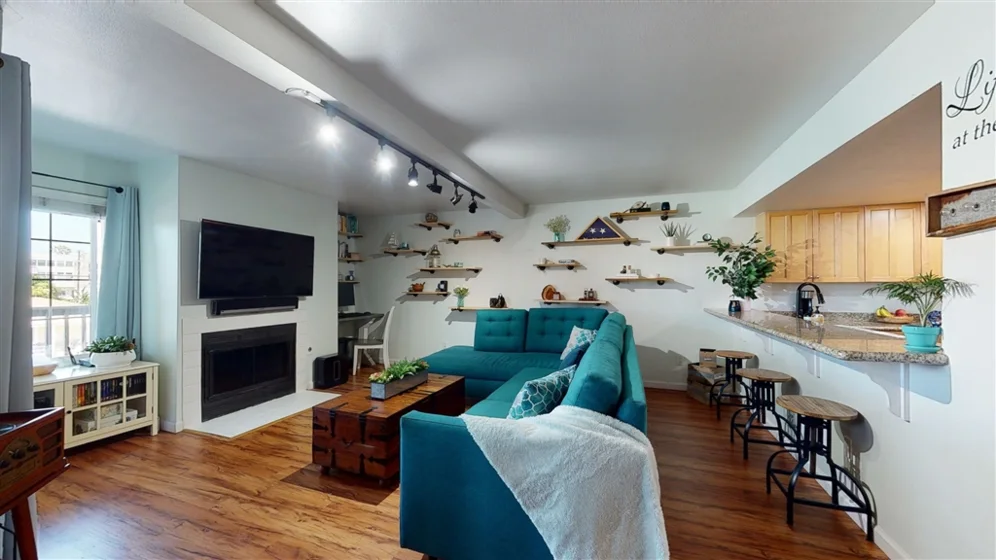 259 Donax #C photo 1