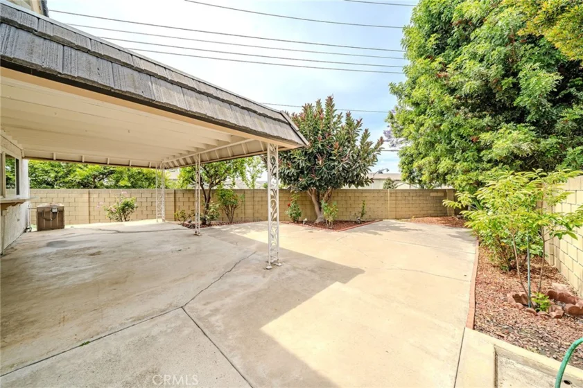 8175 Mammoth photo 26