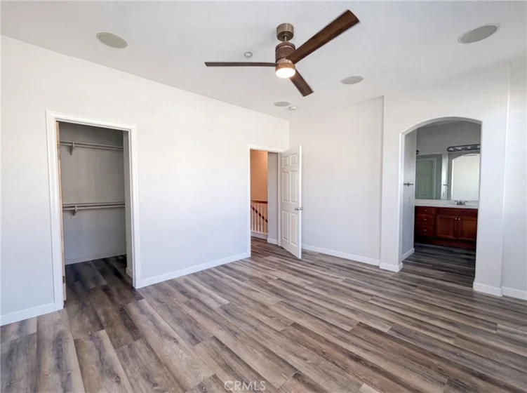 41534 King Palm photo 4