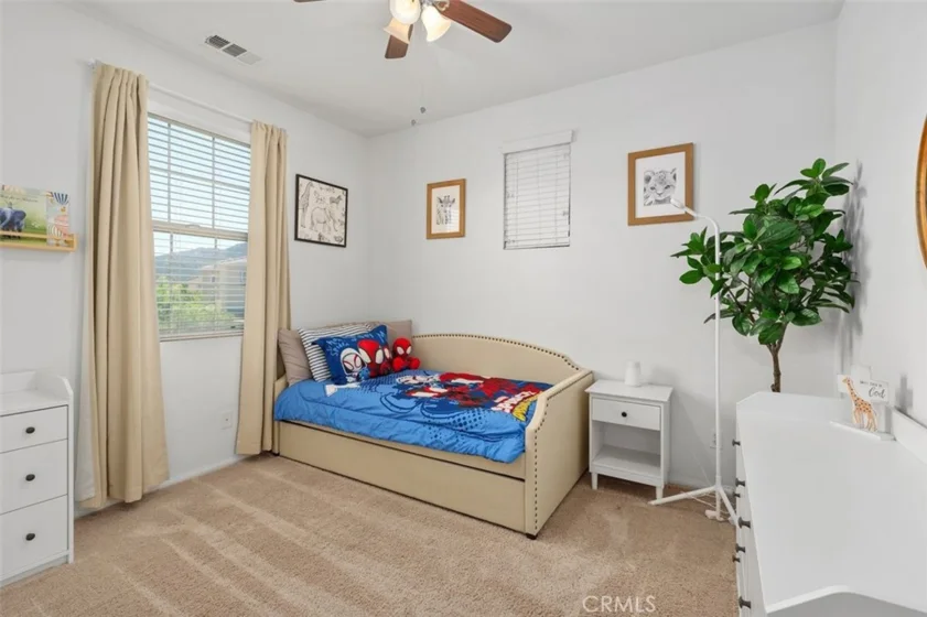 31167 Mountain Lilac photo 15