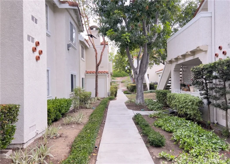 54 Gavilan photo 14