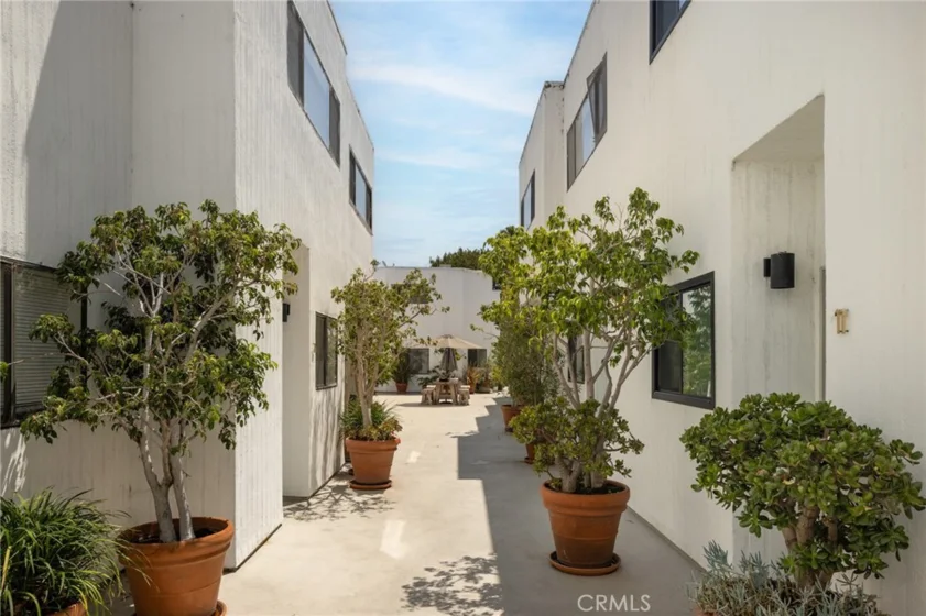 2500 Abbot Kinney Boulevard #20 photo 17