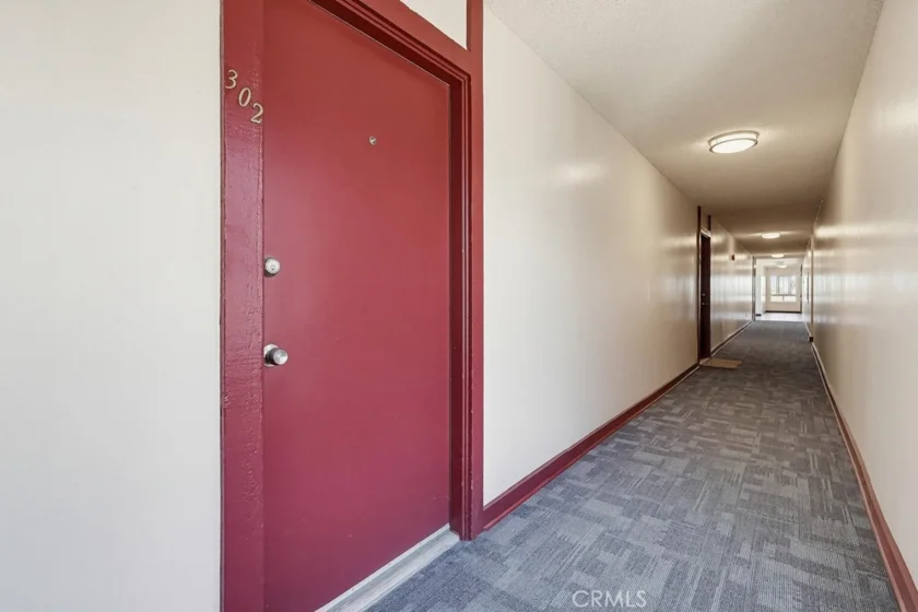 363 Newport Avenue #302 photo 37