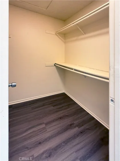 16951 Millpond Lane #51 photo 6