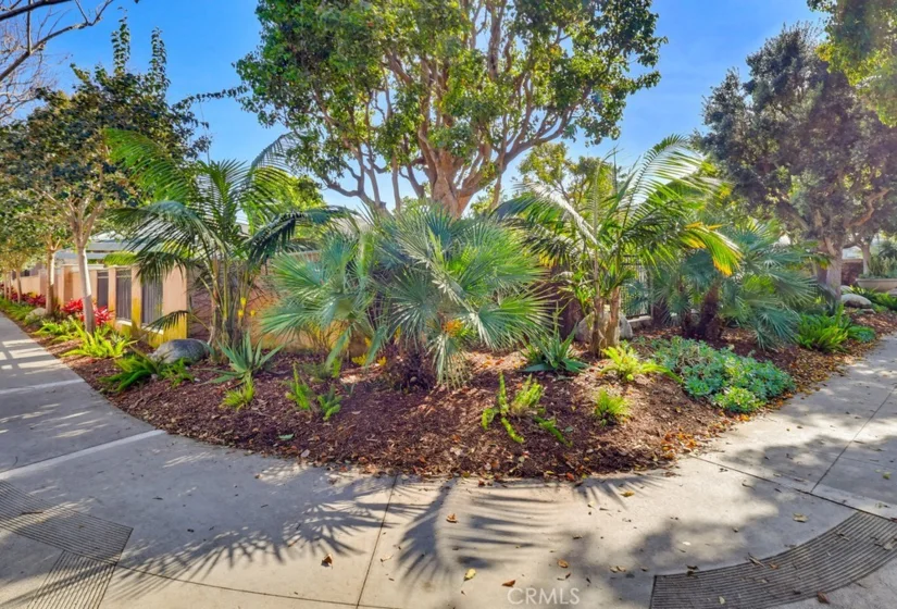 13075 Pacific Promenade Place #115 photo 62