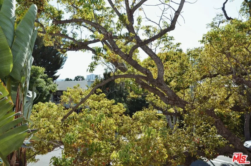 1328 Havenhurst Drive #202 photo 40