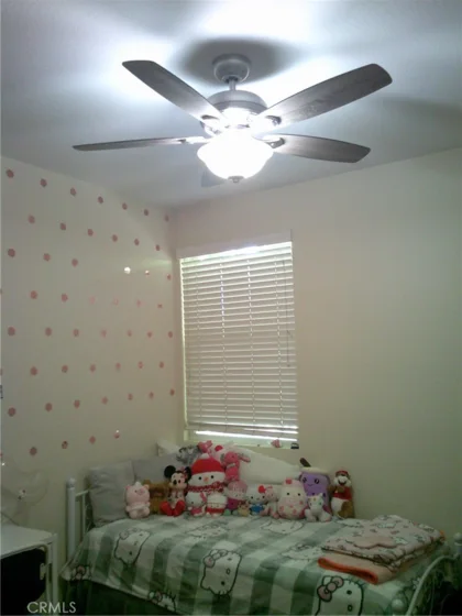 27959 Cactus #B photo 15