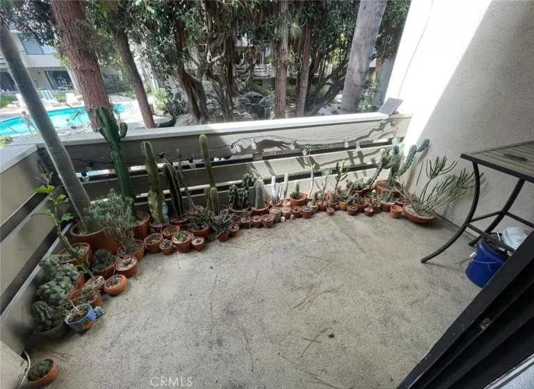 404 Brighton Springs photo 15