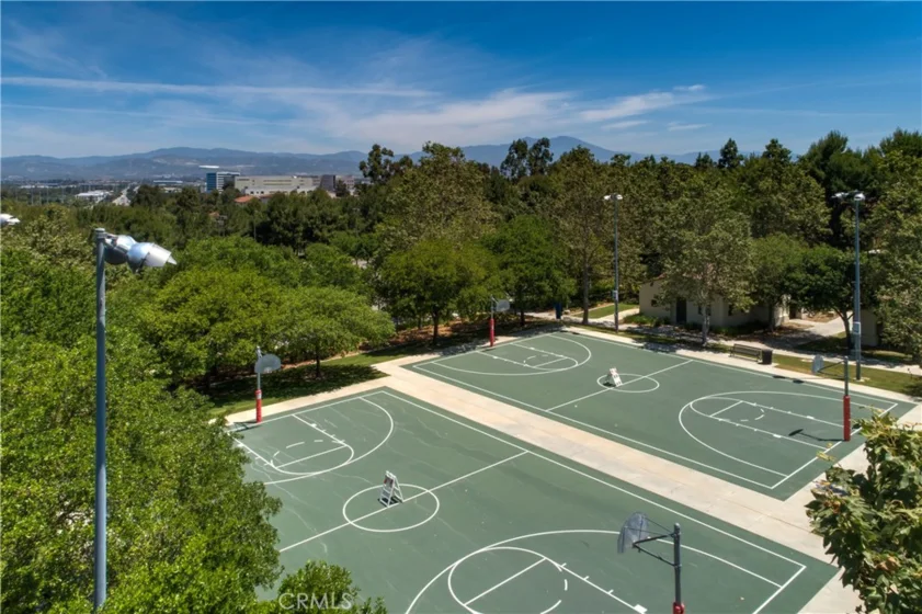 235 Tall Oak photo 37