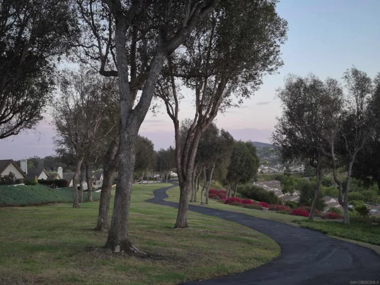 12737 Via Nasca photo 14