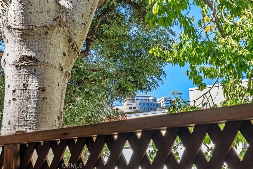 11687 Bellagio #12 photo 35