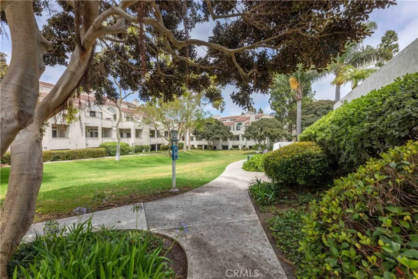 17151 Corbina photo 26