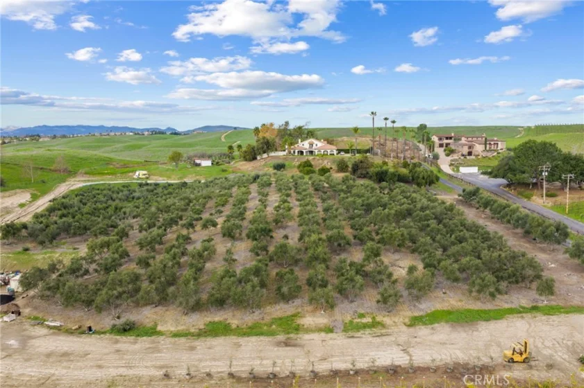 41309 Avenida Biona photo 42