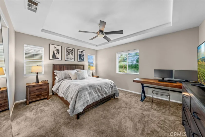 27657 Peppergrass Court photo 17