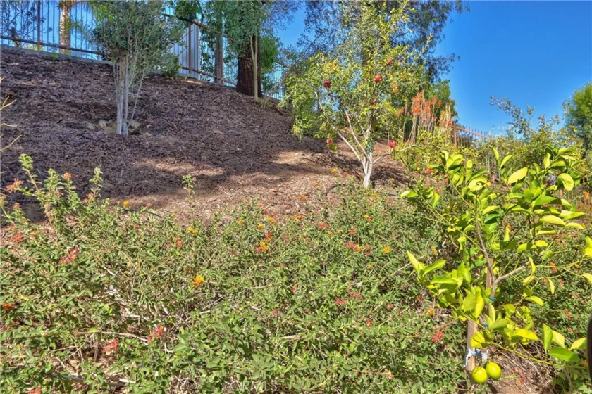 32098 Camino Seneco photo 48