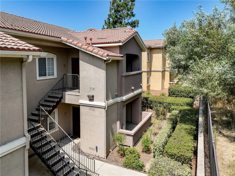 41410 Juniper photo 31