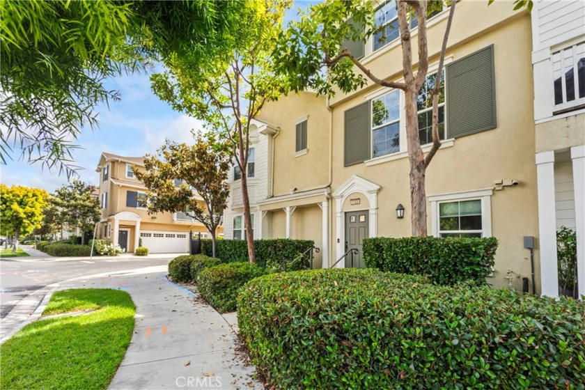 1123 Abelia photo 21