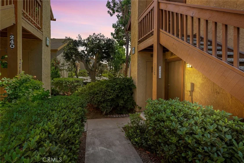 228 Tangelo #368 photo 1