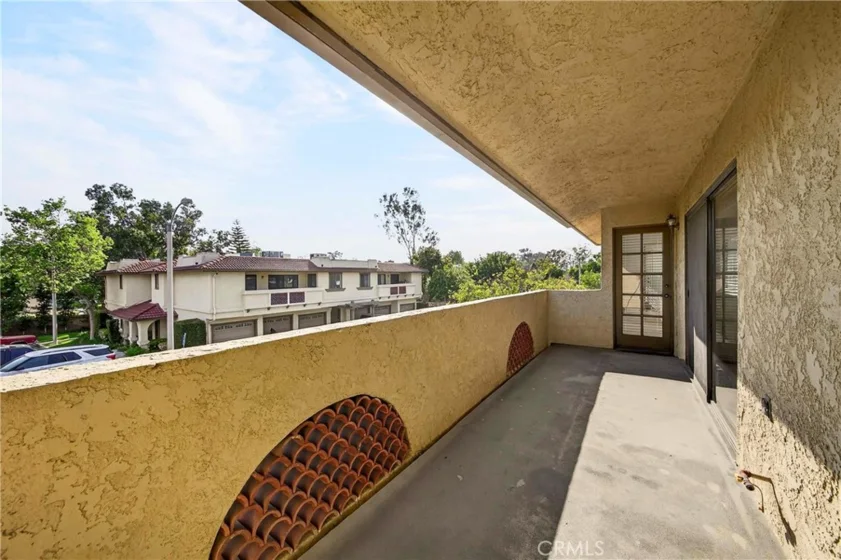 25261 Tanoak photo 25