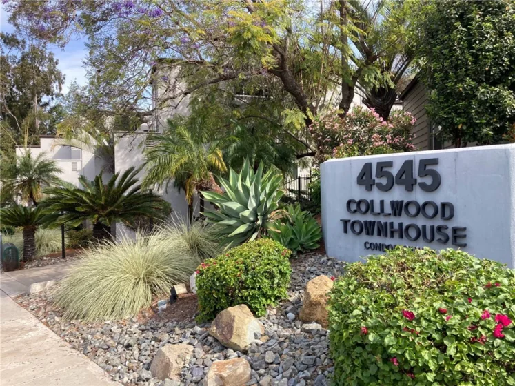 4545 Collwood Boulevard #19 photo 24
