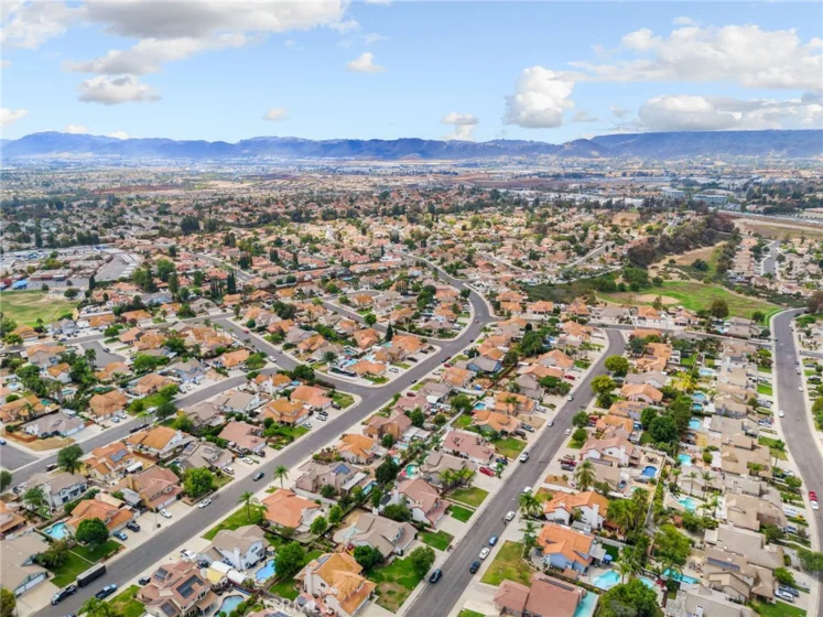 25401 Lacebark photo 56