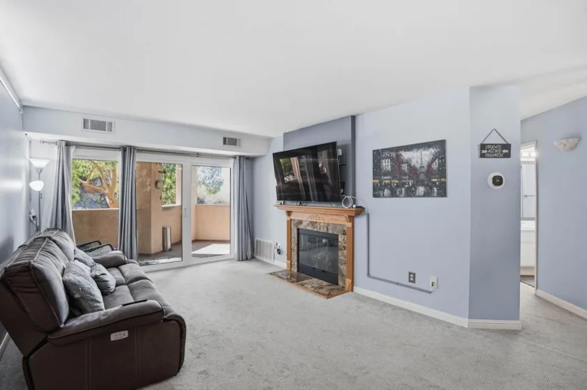 11115 Affinity Court #3 photo 21