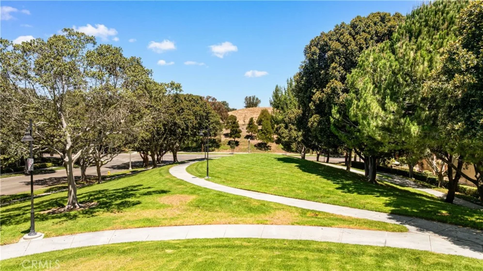 97 Canopy photo 67