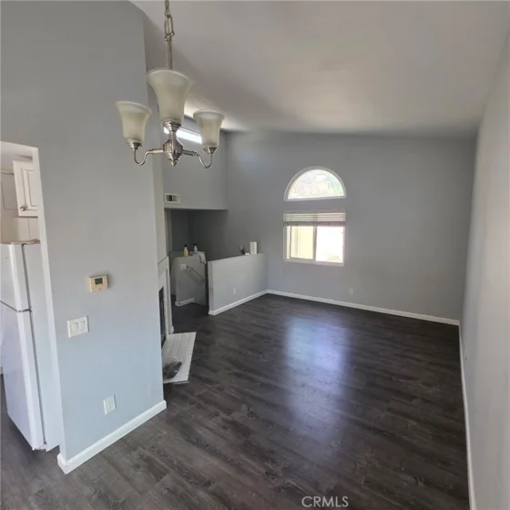 21128 Gladiolos photo 16