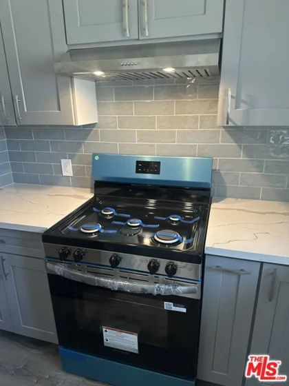 711 Larch Street #10 photo 4