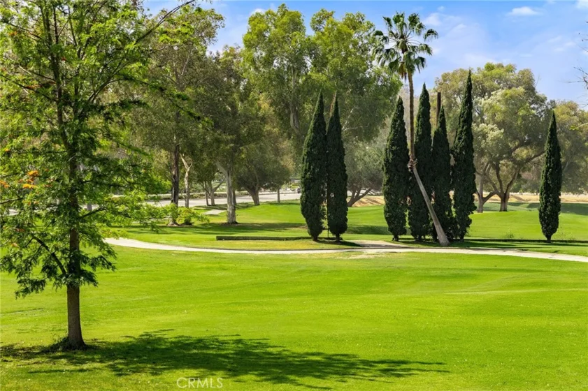 38 Arboles photo 1